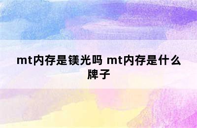 mt内存是镁光吗 mt内存是什么牌子